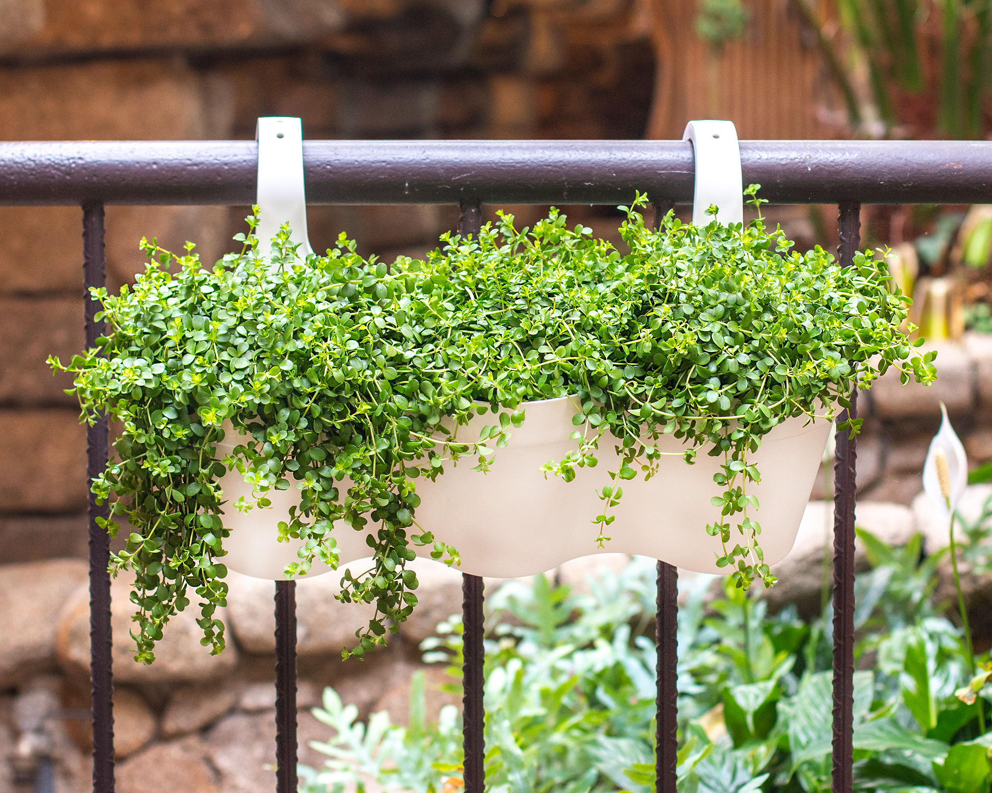 Capri Triple Balcony Pot